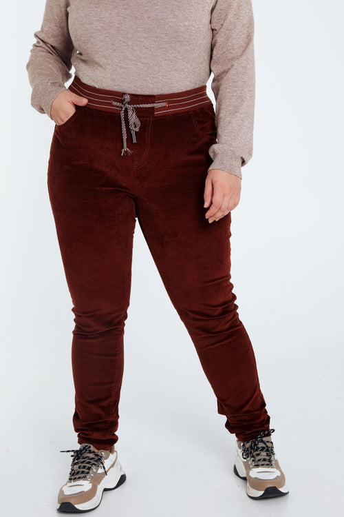 Oranjerood / 46-Paprika-1